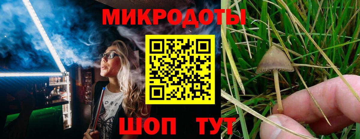 Верхний Уфалей  закладка  Вход с VPN  Псилоцибиновые грибы Psilocybe 